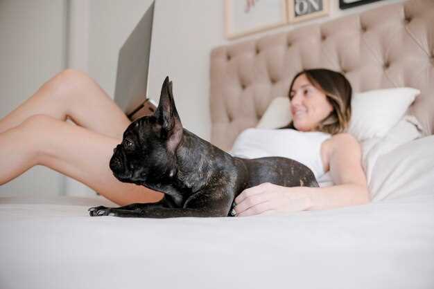 Символика черной собаки в различных культурных традициях