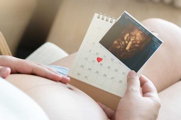 Общий график проведения УЗИ во время беременности